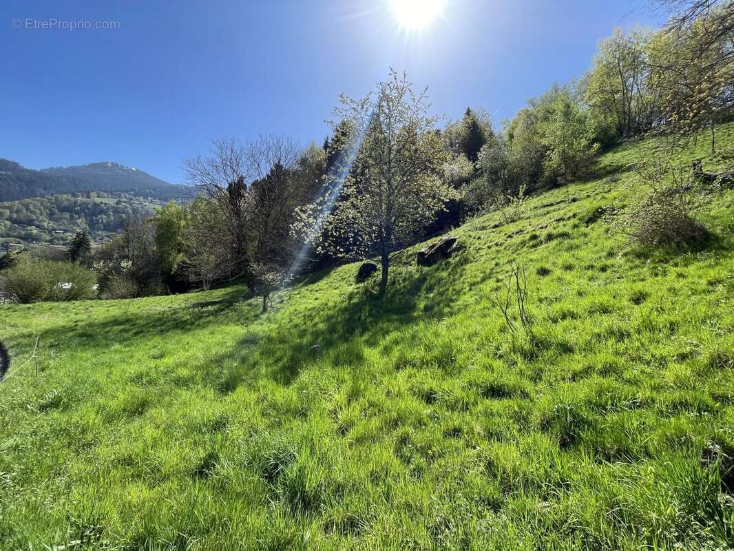 Terrain à SAINT-GERVAIS-LES-BAINS