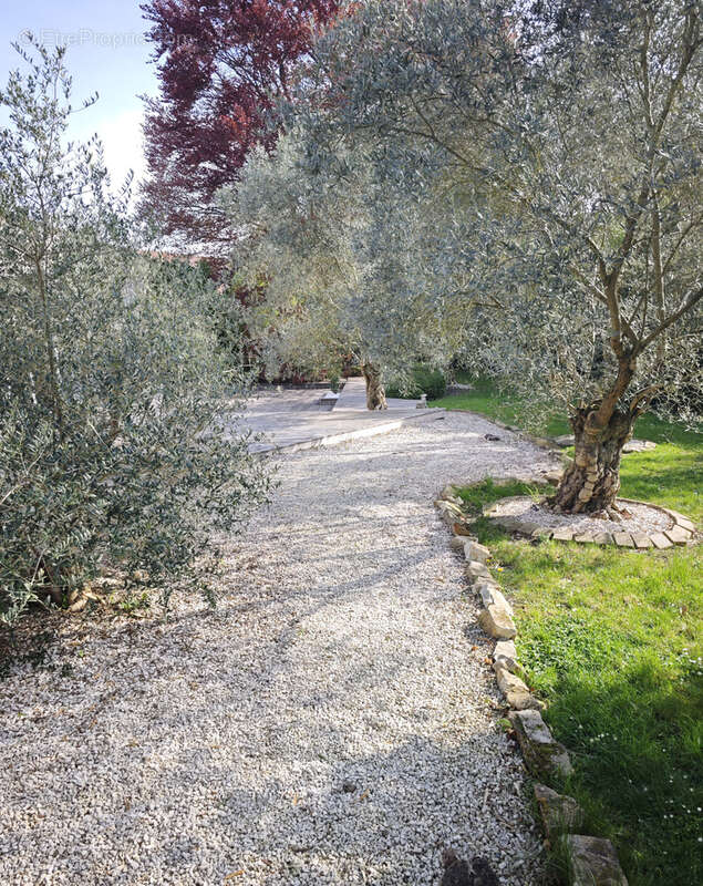 À vendre ensemble immobilier professionnel de 4 060 m2 sur 5 506 m2 de terrain - photo 5