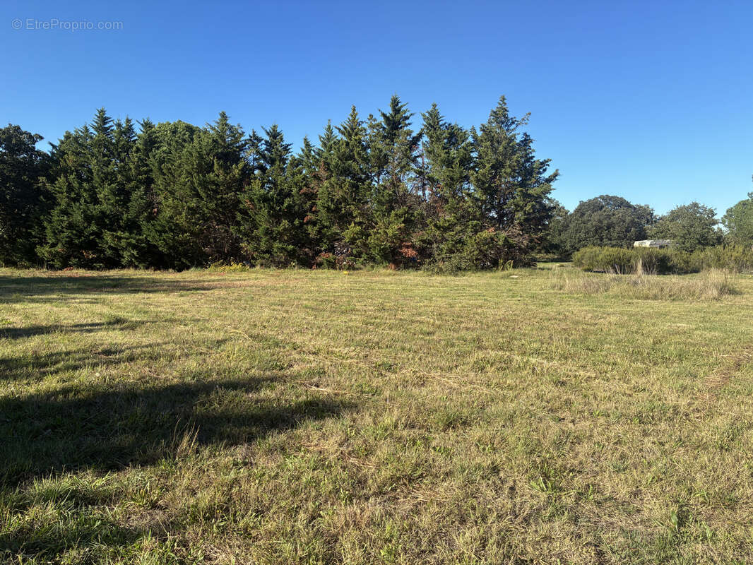 Terrain à LAROQUE-DES-ALBERES