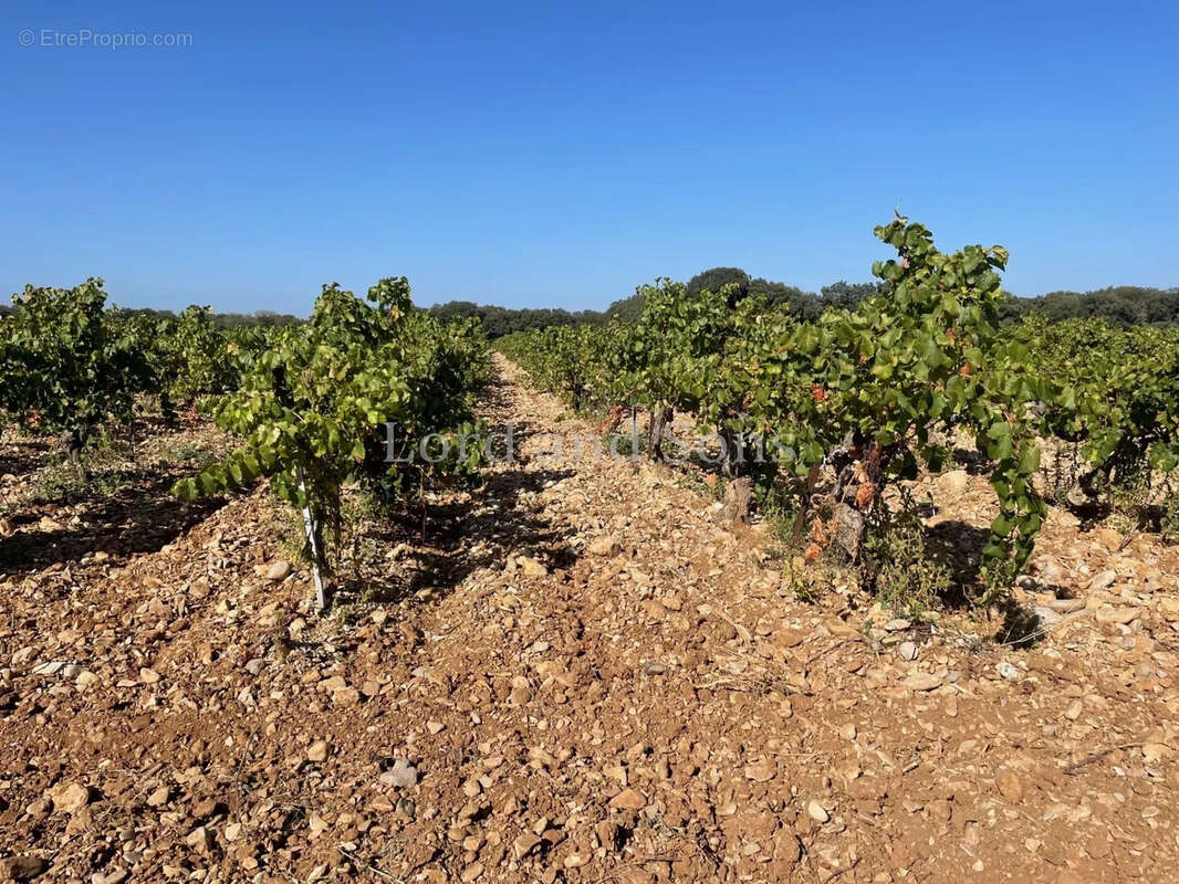 Maison à SUZE-LA-ROUSSE
