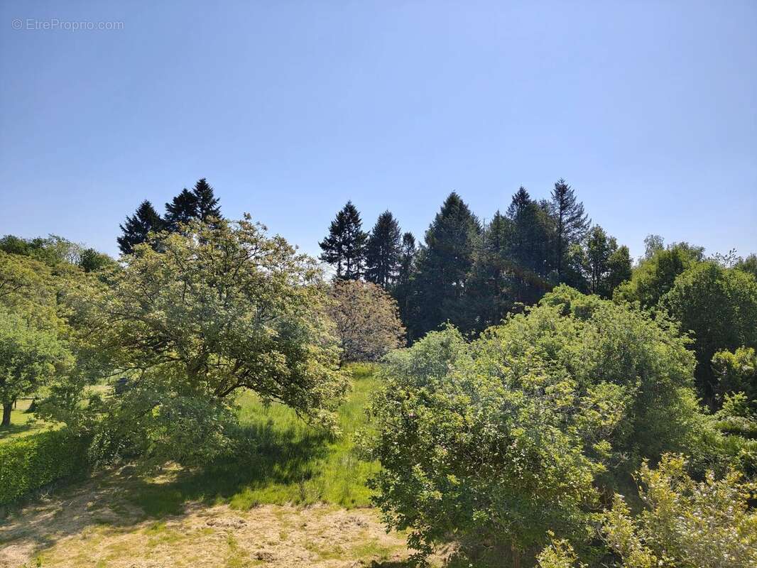 Maison à SAINT-SAUD-LACOUSSIERE