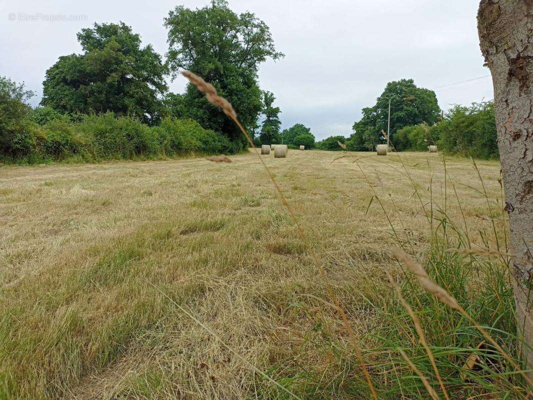 Maison à SAINT-OUEN-SUR-GARTEMPE
