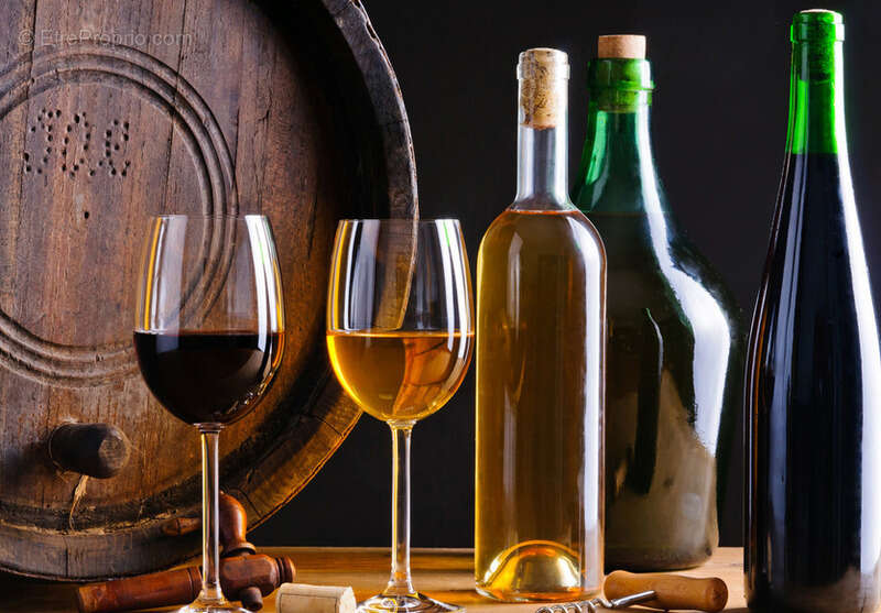 Commerce à LA ROCHELLE