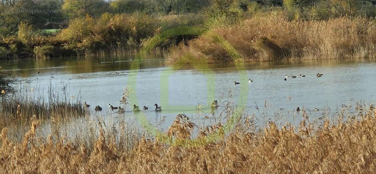 Terrain à MEZIERES-EN-BRENNE