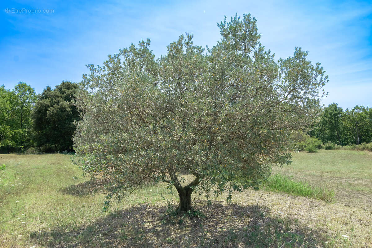 Villa avec vue panoramique sur le château de La Verdière - photo 25