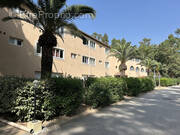 Appartement à CALVI