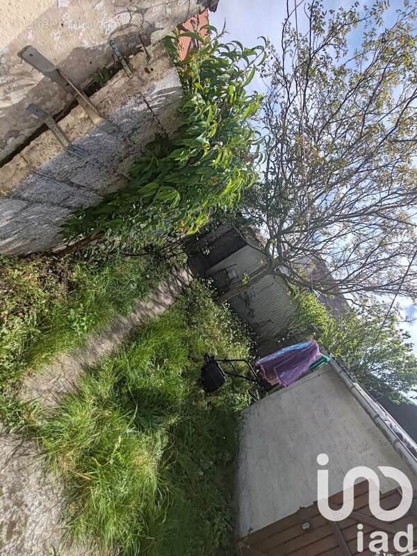 Photo 4 - Maison à BERCK
