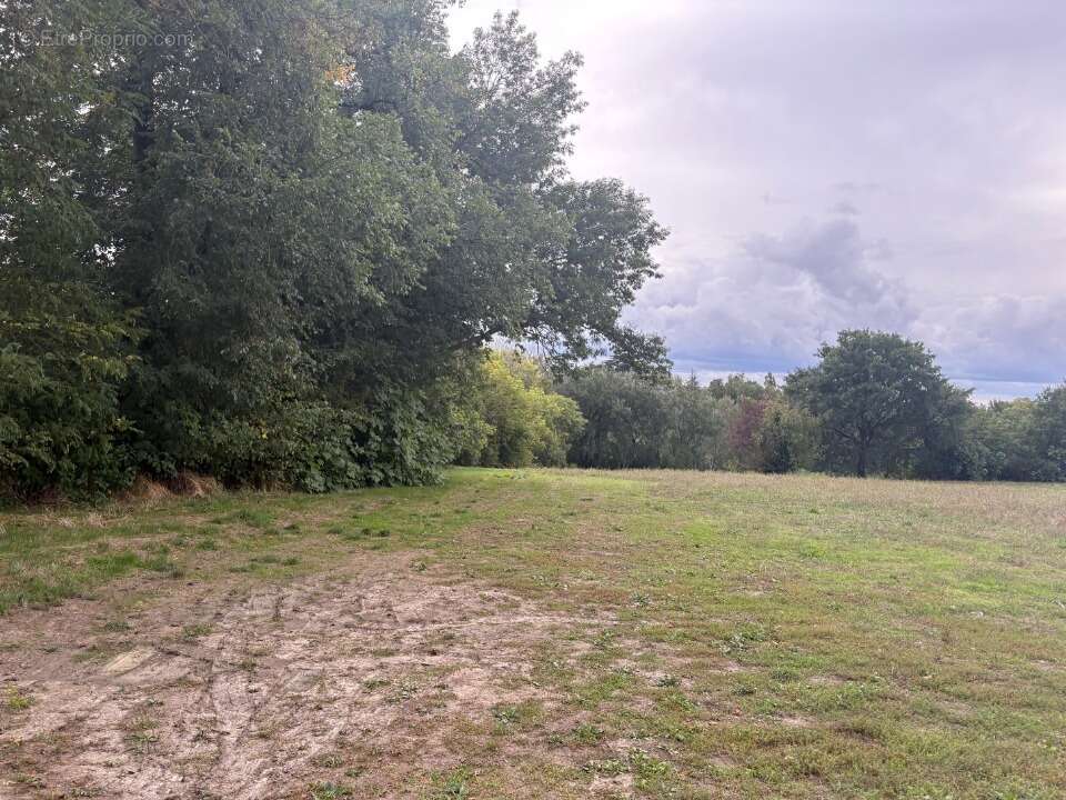 Terrain à MONTASTRUC-LA-CONSEILLERE