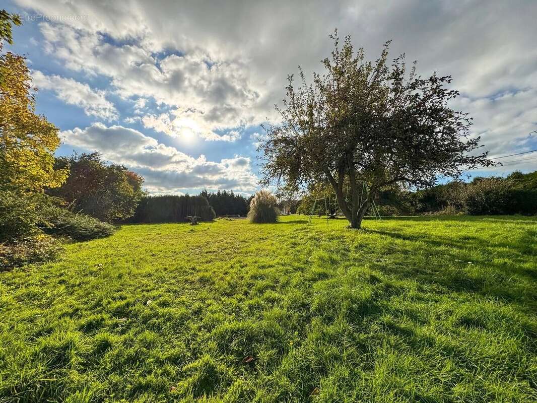 Maison à SAINT-BROINGT-LE-BOIS