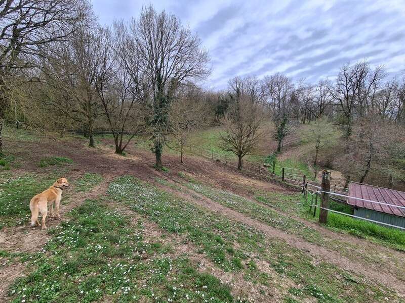 Maison à RUELLE-SUR-TOUVRE