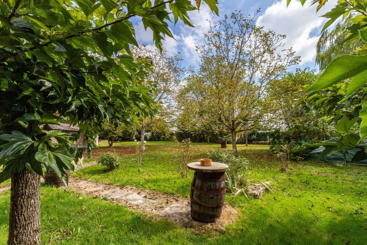 Country property - photo 5