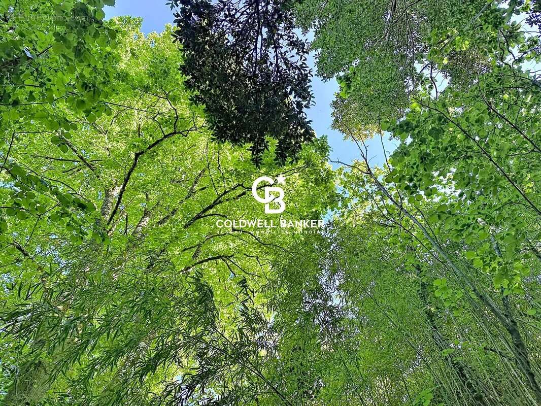 Maison à TONNAY-CHARENTE