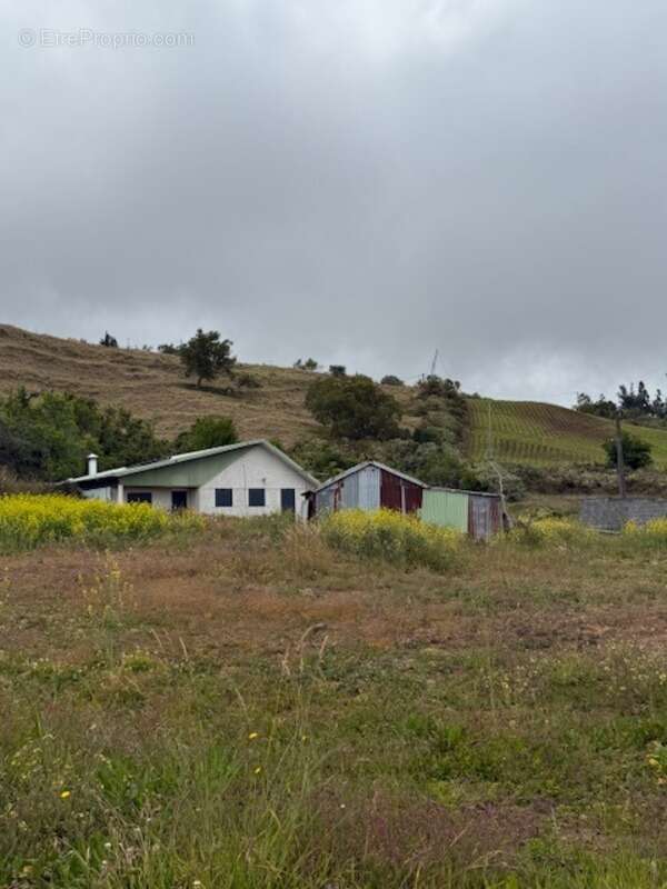 Maison à LE TAMPON