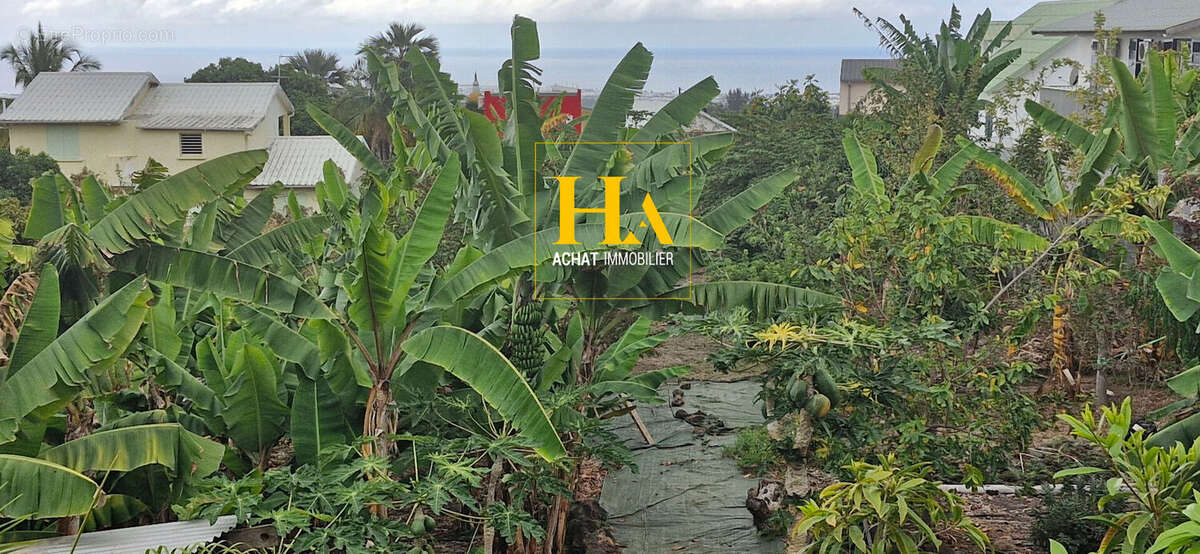 Terrain à SAINT-PAUL