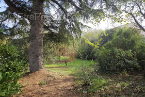 Terrain à SAINT-REMY-DE-PROVENCE