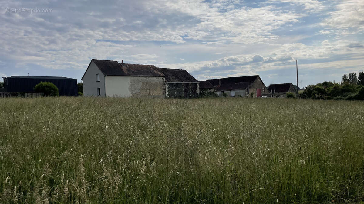 Terrain à COUSSAY-LES-BOIS