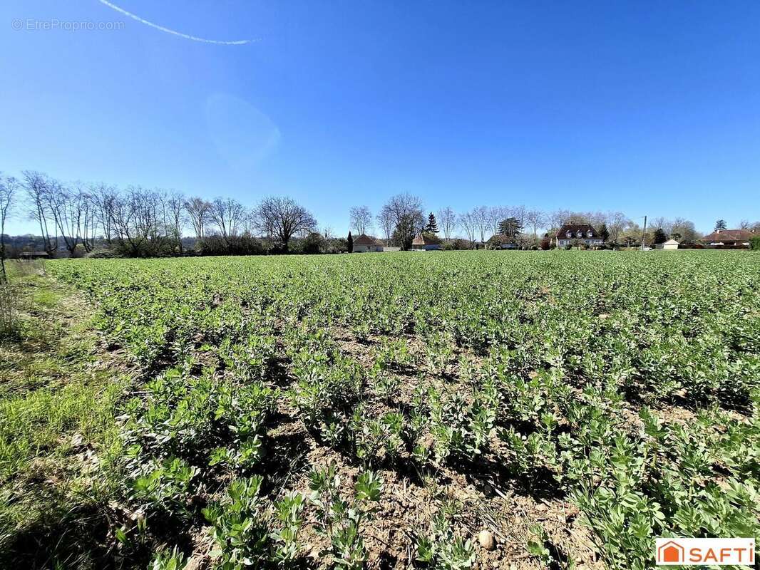 Photo 5 - Terrain à NAVARRENX