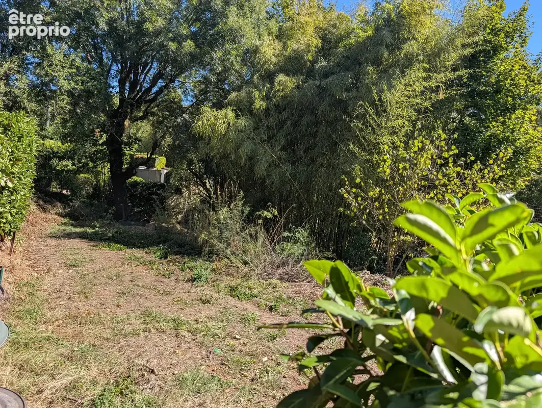 Saint-Didier-au-Mont-d'Or – Terrain constructible - photo 2
