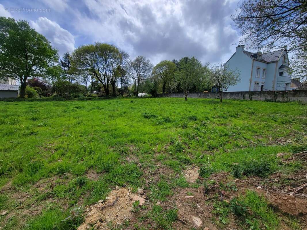 Terrain à LANGONNET