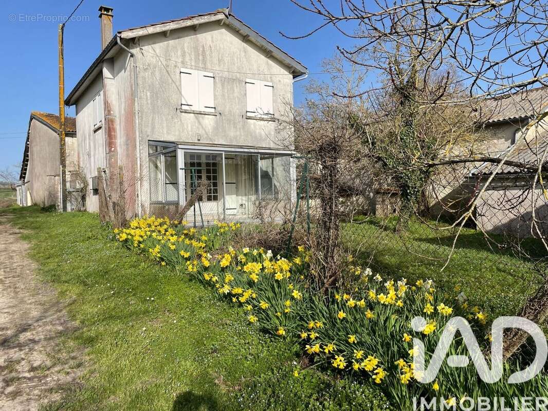 Photo 3 - Maison à ARTHENAC