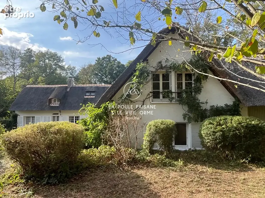 Vente propriete de charme coeur foret domaniale - photo 3