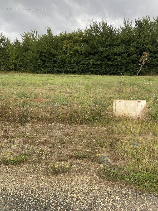 Terrain à CELLES-SUR-BELLE