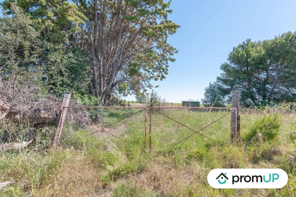 Terrain à MARSEILLAN