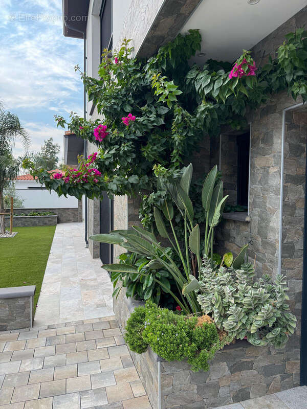 Maison à LATOUR-BAS-ELNE