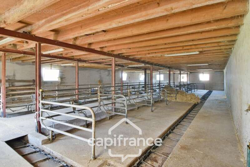 Maison à BLETTERANS