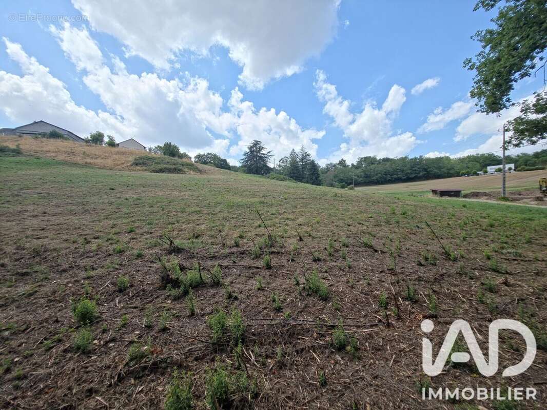 Terrain 8463 m² à Brive-La-Gaillarde  - photo 2