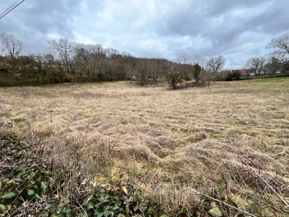 Terrain à BEDUER