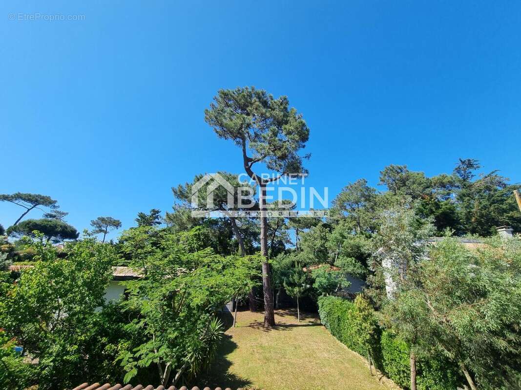 Maison à LEGE-CAP-FERRET