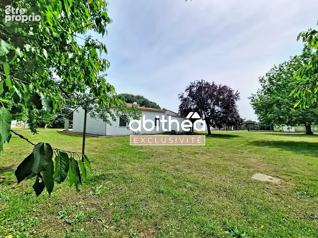 Rare  ideal artisan  350m2 de hangar  143m2 hab a rafraichir  6000m2 de terrain clos - photo 2