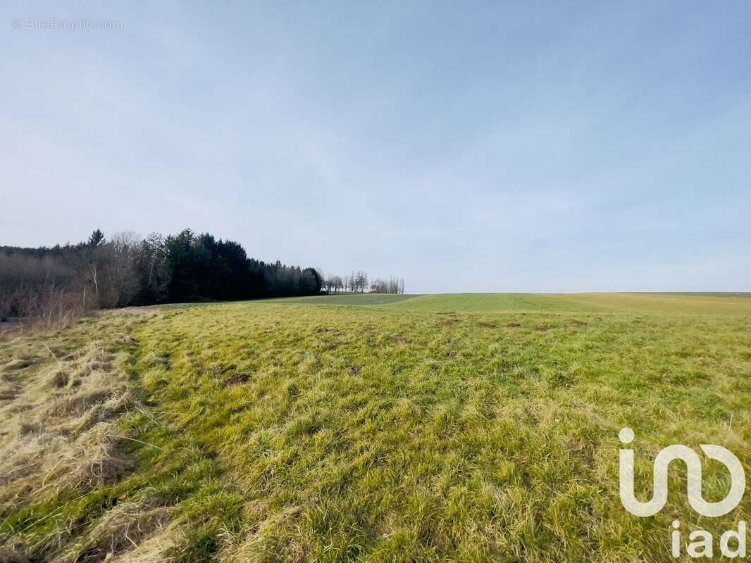 Photo 4 - Terrain à ABRESCHVILLER