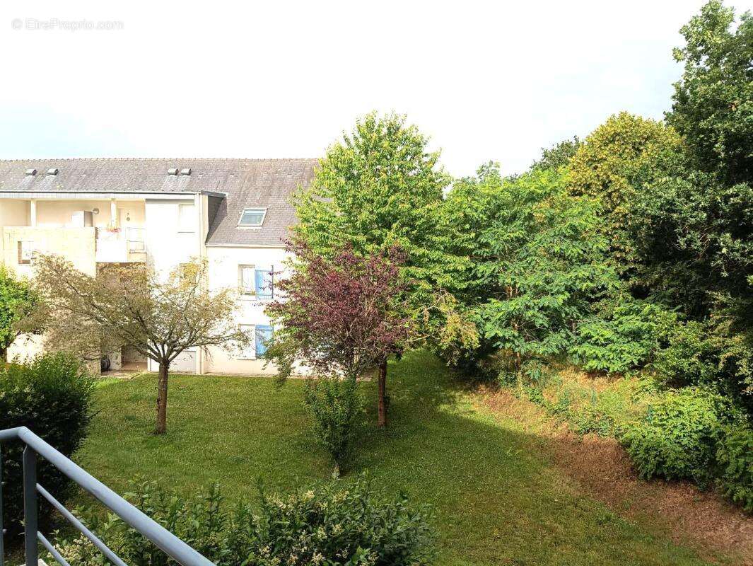 Appartement - photo 8