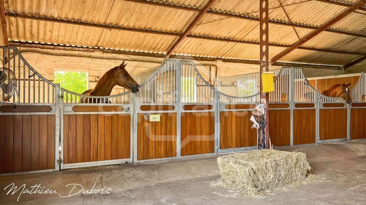 Un domaine de caractère proche d’Eymet avec installations équestres, gîtes et studio yoga/bien-être - photo 30