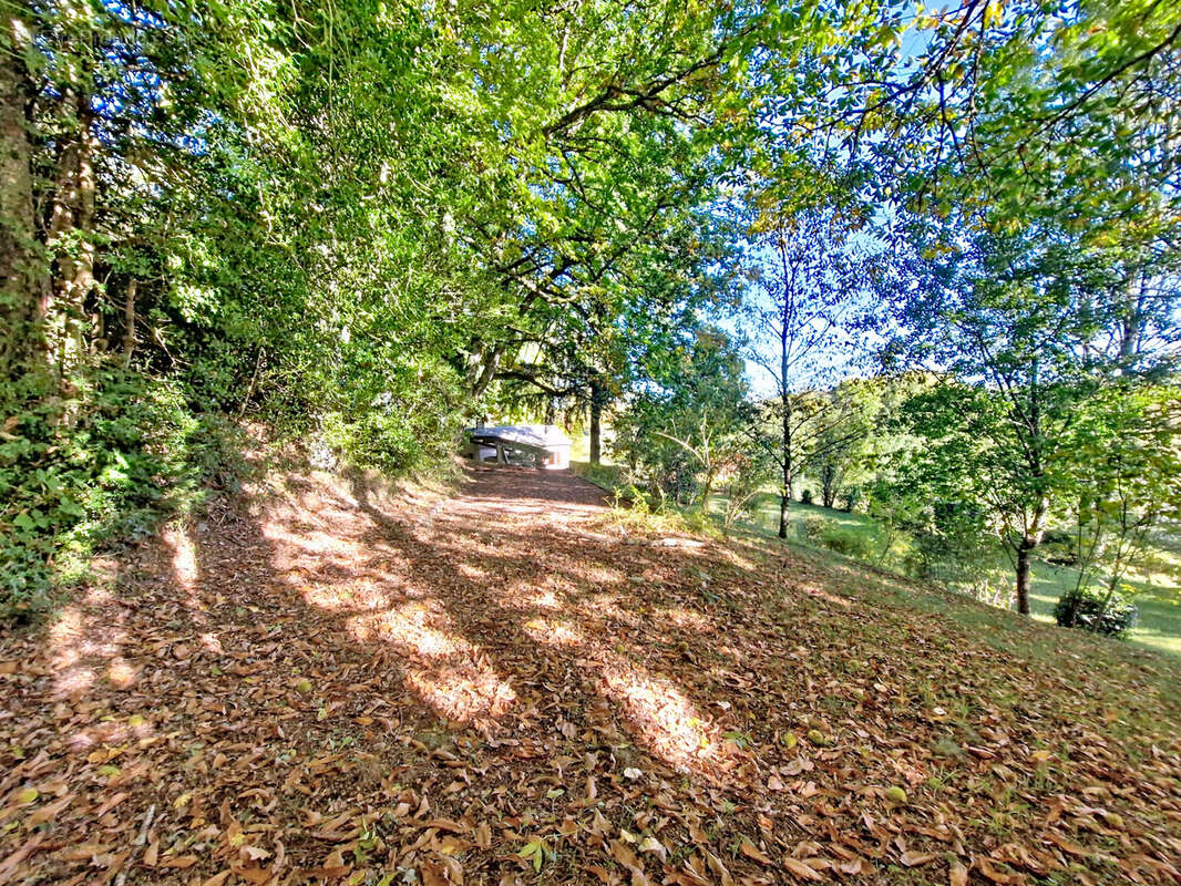 Maison à LA SALVETAT-SUR-AGOUT