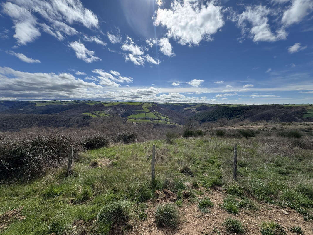 Terrain à AMBIALET
