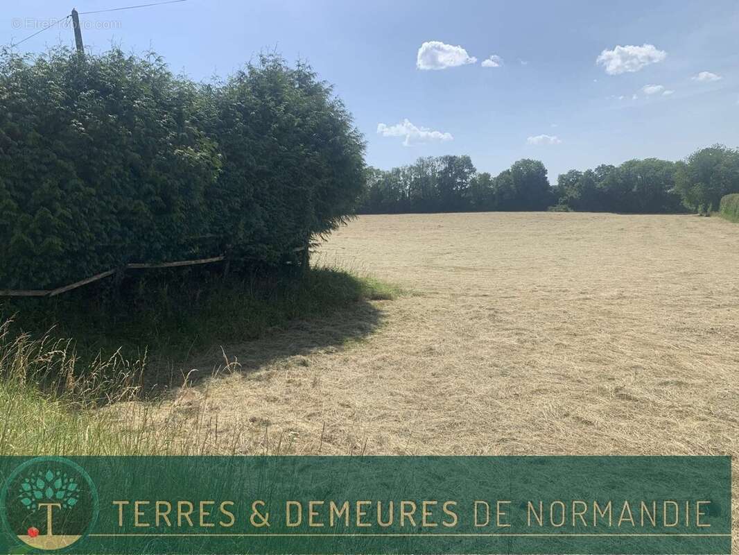Dans le CALVADOS, région FALAISE, propriété agricole de 34 ha en herbage d'un seul tenant - photo 17