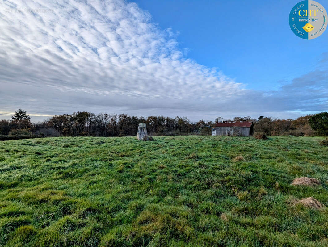 Terrain à bâtir hors lotissement à MONTENEUF - photo 4