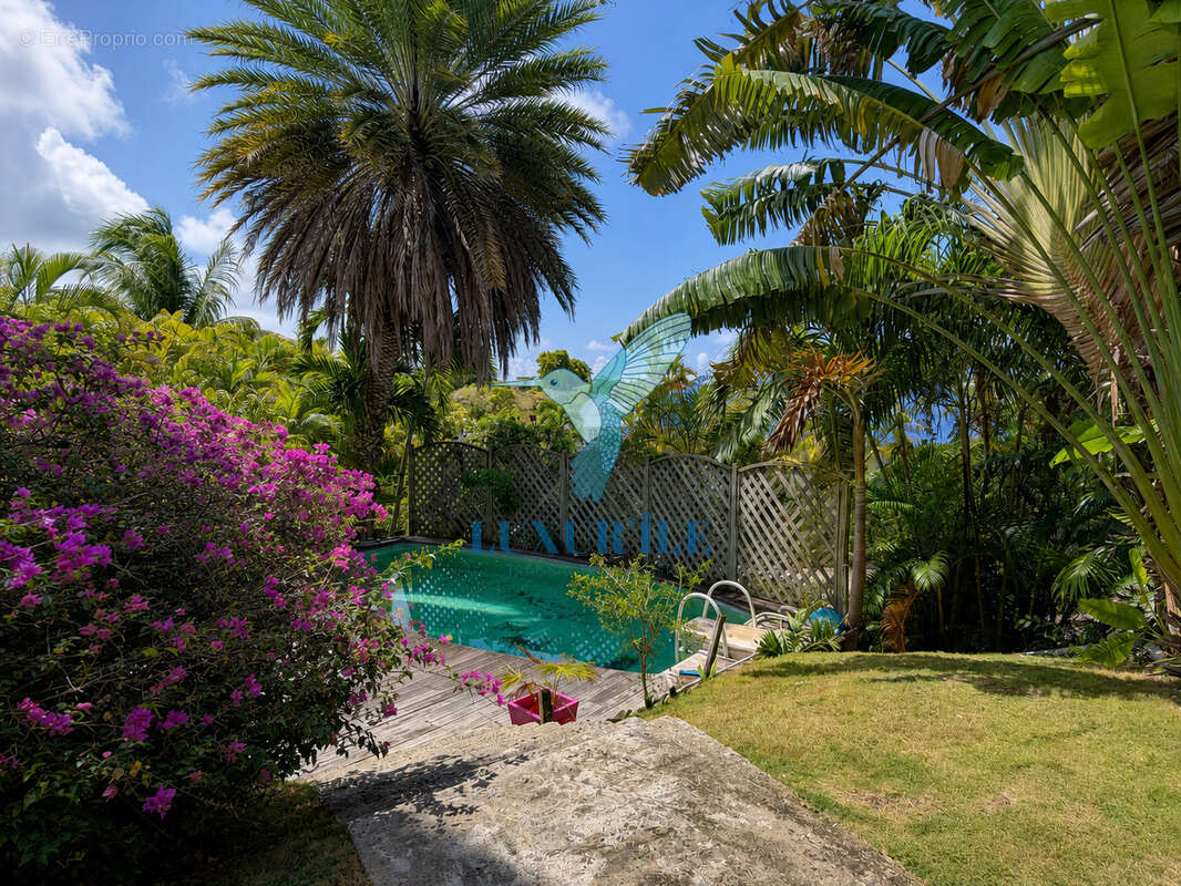 Dampierre   Le Gosier  Charmante villa 4 chambres avec piscine, jardin tropical et aperçu mer - photo 2