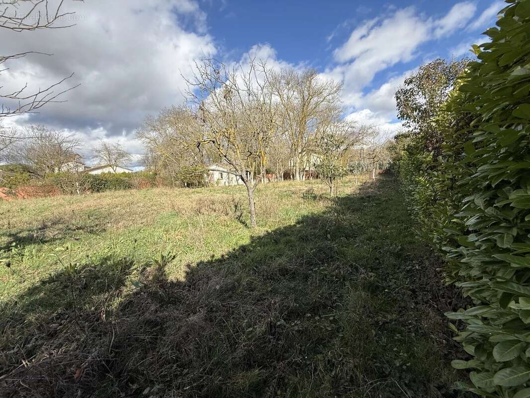 Terrain à TOULOUSE
