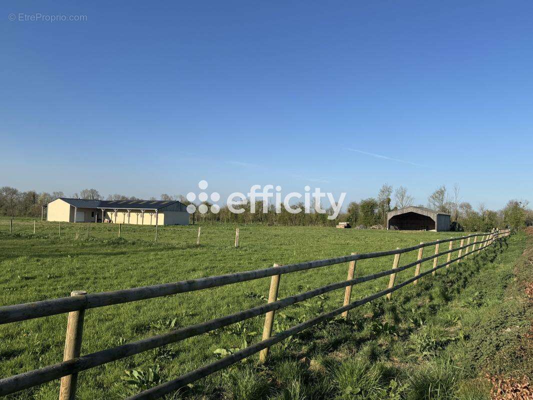 Maison 40 m² à Bazenville  - photo 4