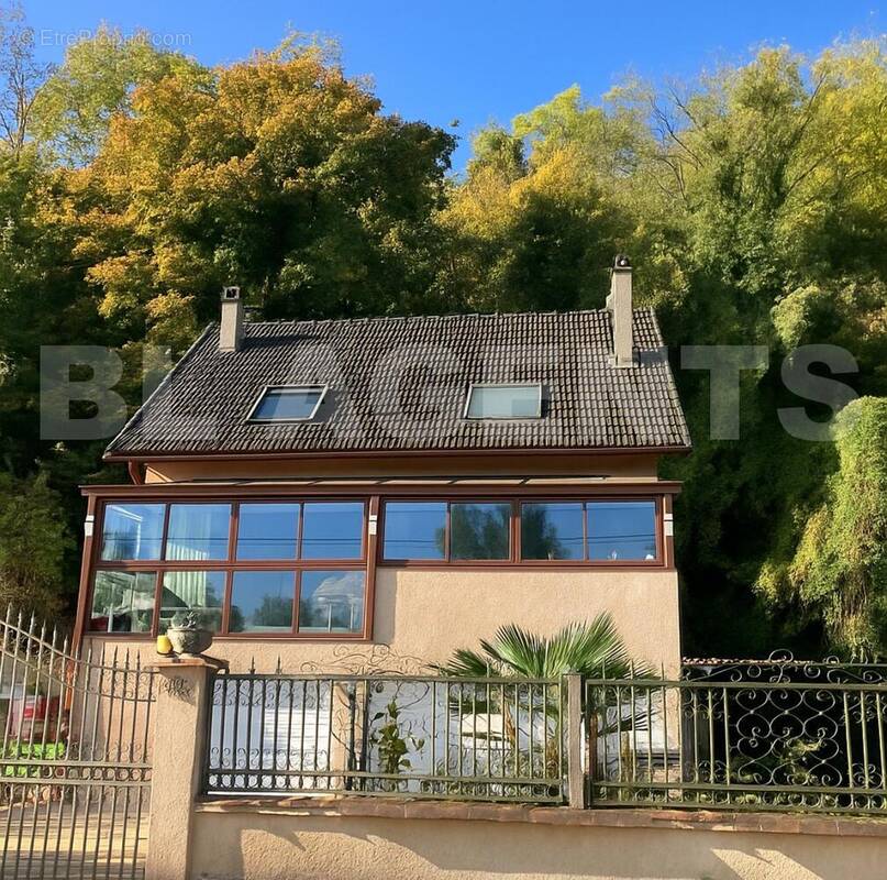 IMG_8399 - Maison à SAINT-JEAN-LES-DEUX-JUMEAUX