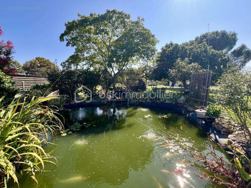 Maison à SAINT-MEDARD-DE-GUIZIERES