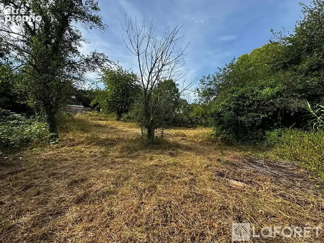 Terrain Zillisheim 1172 m2 - photo 8