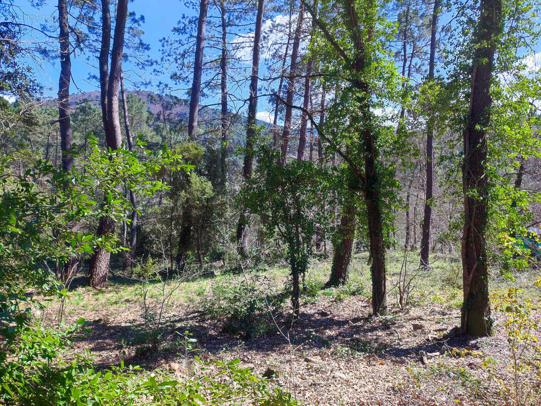 Terrain à LAVAL-PRADEL