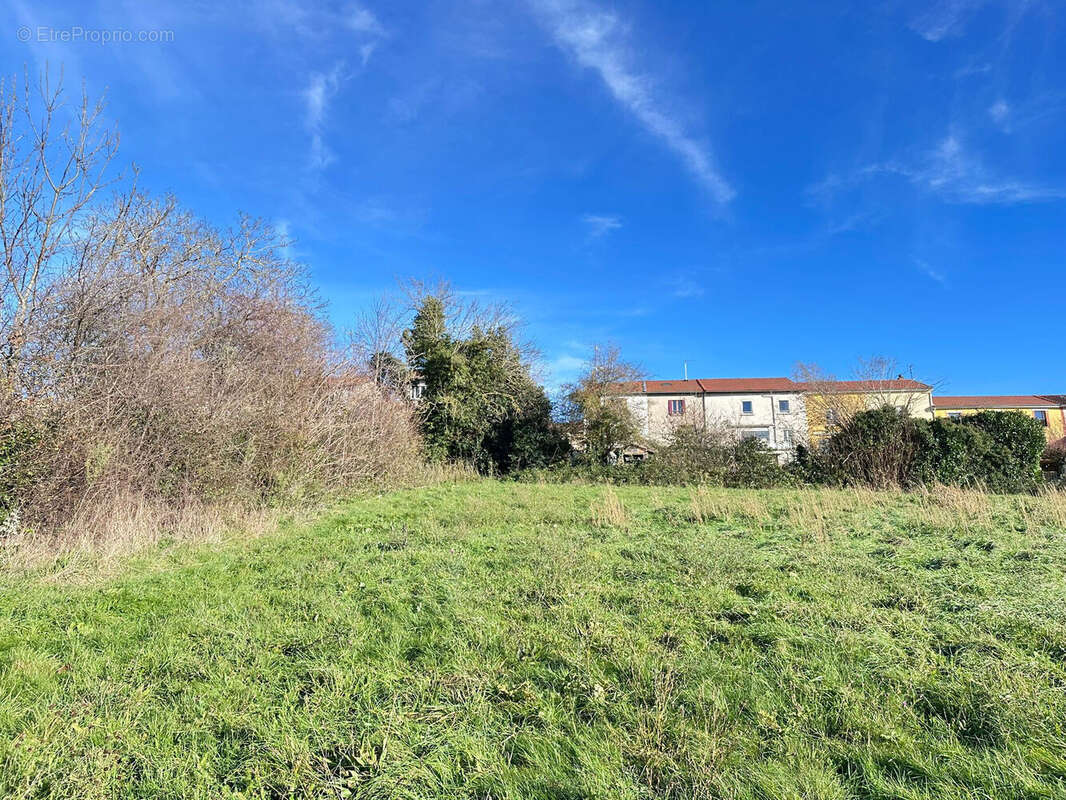 Terrain 5503 m² à Neulise  - photo 4