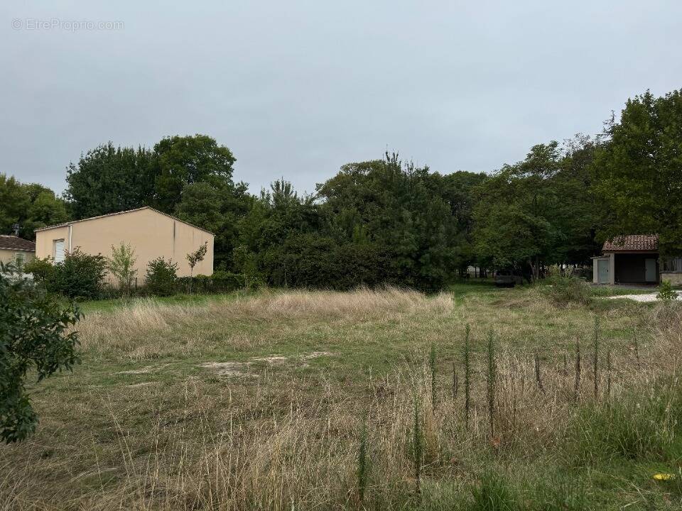 Terrain à SAUTEYRARGUES
