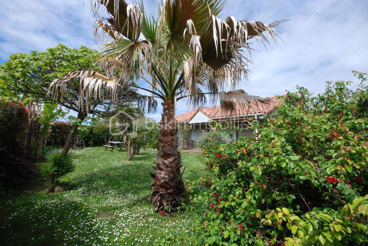 Maison à PORT-DE-LANNE